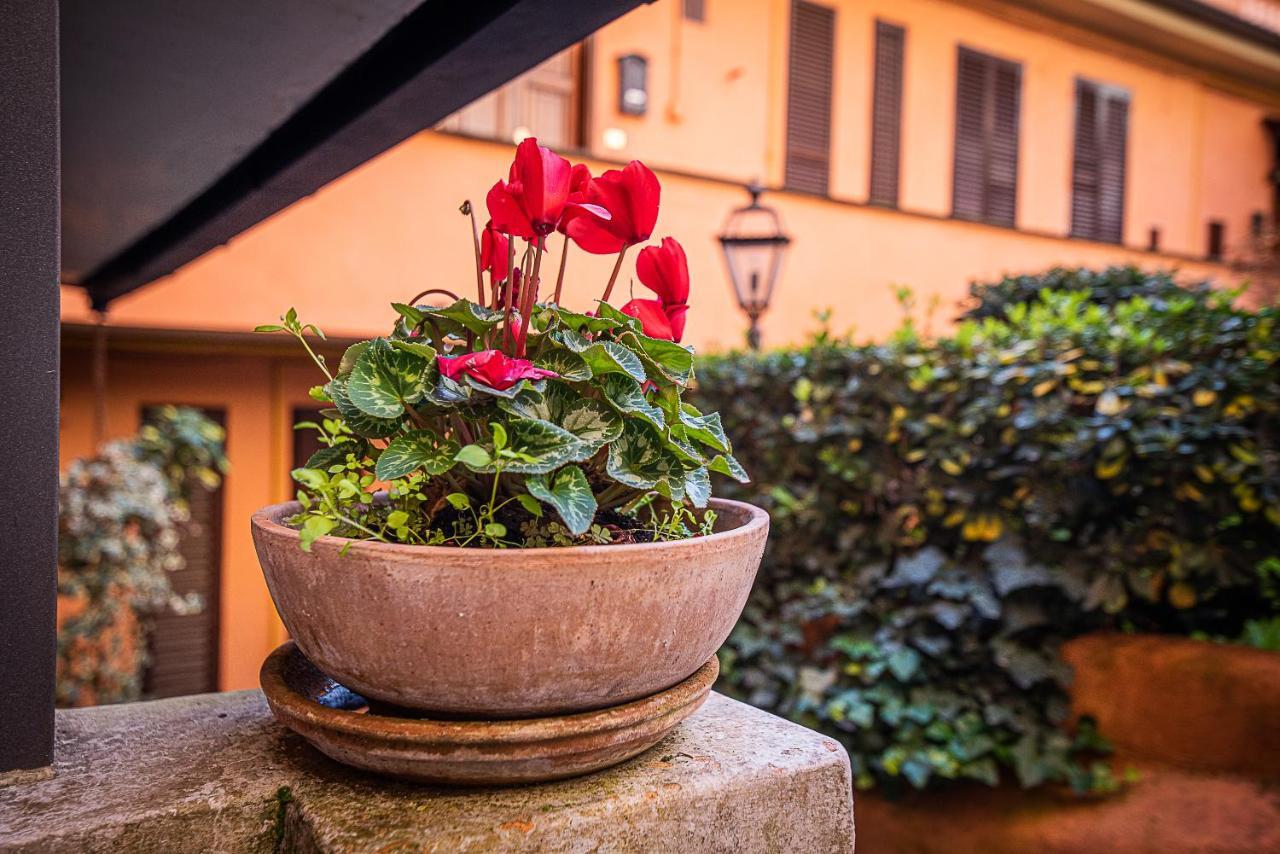 Cosy Studio In The Greenest Corner Of Trastevere 罗马 外观 照片